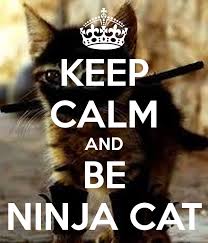 ninjacat